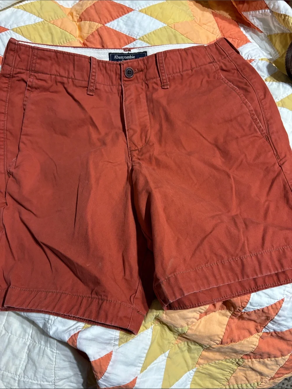 Abercrombie & Fitch Burnt Orange Pants